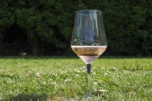 The glass of wine on a grass in the garden. photo