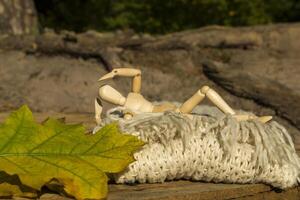 Dummy for drawing in relaxing pose lays on the warm scarf near fallen leaves. Autumn mood. photo