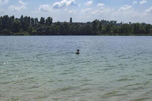 hermosa azul lago. verano paisaje. el belleza de naturaleza. foto