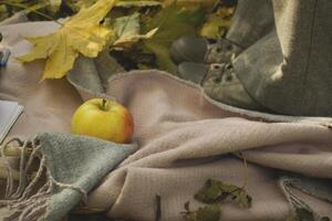 A cups of tea, red apples, album and pencils for drawing on the warm plaid in the autumn park near woman's feet in sneakers. Autumn still life photo