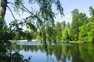 Peaceful place in the park. A lake in forest landscape. photo