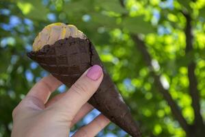 An ice cream cone in female arm against a green tree background photo