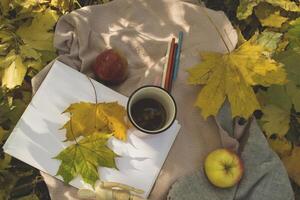 un taza de té, caído hojas, álbum y lapices para dibujo en el calentar tartán en el otoño parque. foto