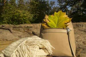 A bag with beautiful fallen leaves and knitted scarf. Autumn vibes. photo