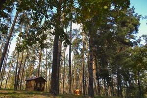 An old wooden pavilion in the forest. Peaceful place for relaxation. photo