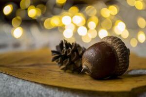 Cone and acorn as a decoration, close up against a bokeh background. photo