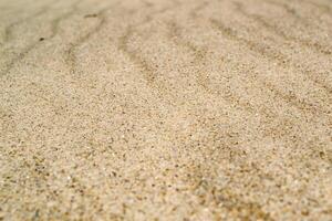 Beige sand background. The sand texture. photo