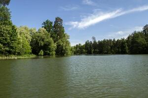 lago en el bosque. verano paisaje. foto