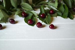 The branch with ripe cherries on a white wooden background. photo