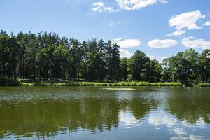 Forest lake landscape in sunny summer day. photo