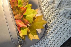 A bag with beautiful fallen leaves and knitted scarf. Autumn vibes. photo