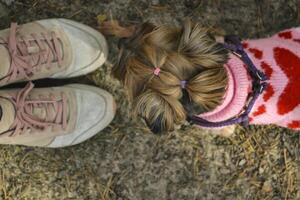 A cute yorkshire terrier near girl's feet, outdoor. photo