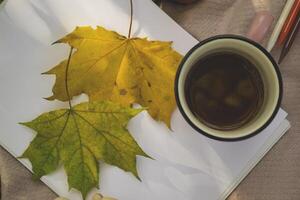 un taza de té, caído hojas, álbum y lapices para dibujo en el calentar tartán en el otoño parque. foto