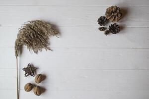 Pine cones and walnuts on a white table. photo