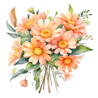 ai genererad orange daisy på en png