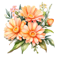 ai genererad orange daisy på en png