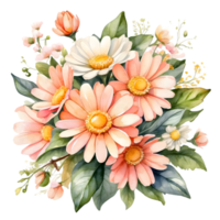 AI generated orange daisy  on a png