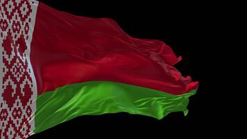 3d animering av de nationell flagga av Vitryssland vinka i de vind. video