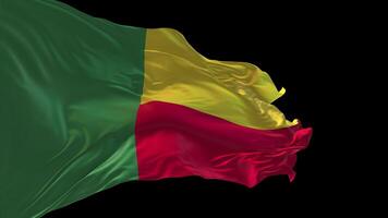 3d animering av de nationell flagga av benin vinka i de vind. video