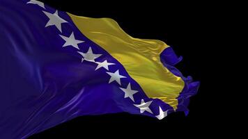 3d Animation von das National Flagge von Bosnien und Herzegowina winken im das Wind. video