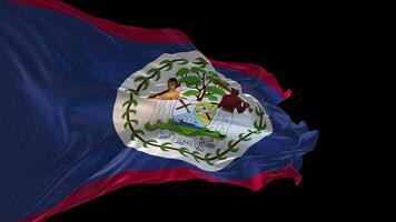 3d animatie van de nationaal vlag van Belize golvend in de wind. video