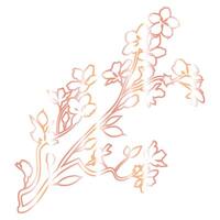 Sakura branch with flowers decoration. photo