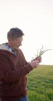 boer controle Gezondheid van groente of fabriek zaailing. bedrijf of ecologie concept. video