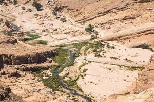 montaña oasis tamerza en Túnez cerca el frontera con Argelia foto