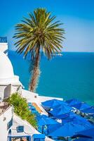 Cafe with beautiful view on Sidi Bou Said harbour photo