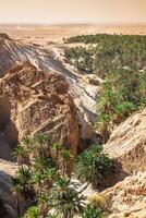 Mountain oasis Chebika at border of Sahara, Tunisia, Africa photo