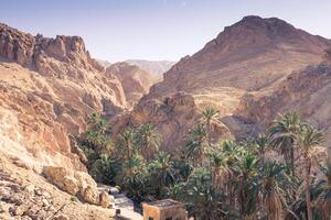 Mountain oasis Chebika at border of Sahara, Tunisia, Africa photo