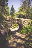 Portugal, jardín de monserrate palacio en sintra foto