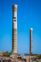 ruins of Antonine Baths at Carthage, Tunisia photo