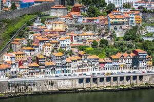 vistoso edificios de porto Portugal foto