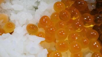 cerca arriba de sashimi salmón hueva con arroz cuenco o donburi en japonés estilo alimento. foto