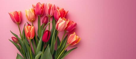 AI generated spring tulip flowers on pink background, copy space photo