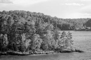 baltic sea near stockholm photo