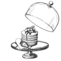 Vector vintage stack of pancakes under glass cloche. Hand drawn monochrome food illustration. Great for menu, poster or label. Engraved imitation Sketch of Pancakes with berries and syrup.