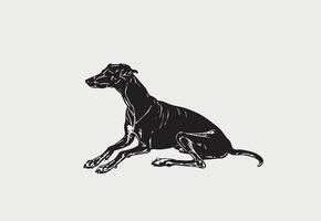 ai generado silueta de galgo vector ilustración en un blanco antecedentes