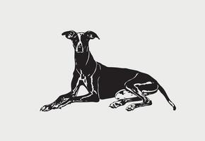 ai generado silueta de galgo vector ilustración en un blanco antecedentes