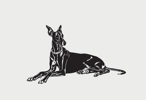 AI generated Silhouette of Greyhound vector illustration on a white background