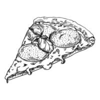 Slice of Pizza Sketch, Hand Drawn Vintage Doodle Illustration vector