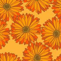 Gerbera Daisy Hand Drawn Seamless Pattern vector