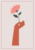 Present or surprise for valentines day illustration. Arm holding pink tulip for woman illustration. vector