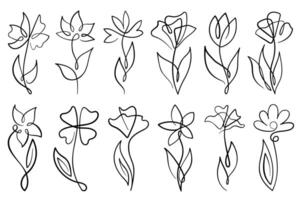 Continuous line drawing. Line art floral concept designs. Flower drawings with single continuous line. Flowers silhouette contour drawing with black thin line. vector