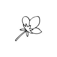 Hand-drawn botanical flower. Element of garden plant in doodle-style. Isolated vector illustration on white background