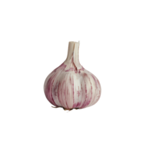 AI generated Whole Garlic with Transparent Background png