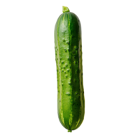 ai gerado Claro verde pepino Projeto kit png