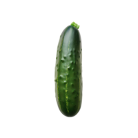 ai generado claro verde Pepino acortar haz png