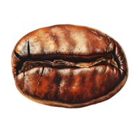 AI generated Transparent Coffee Beans Set png